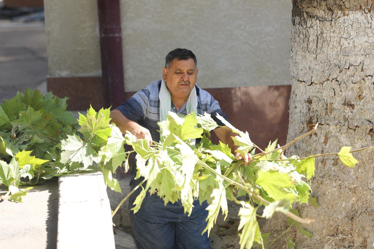 Hashar – elga yarashar!